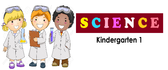 Science K1